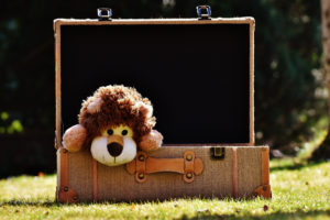 Kinderen en reizen = véél bagage Kinderen en reizen = véél bagage